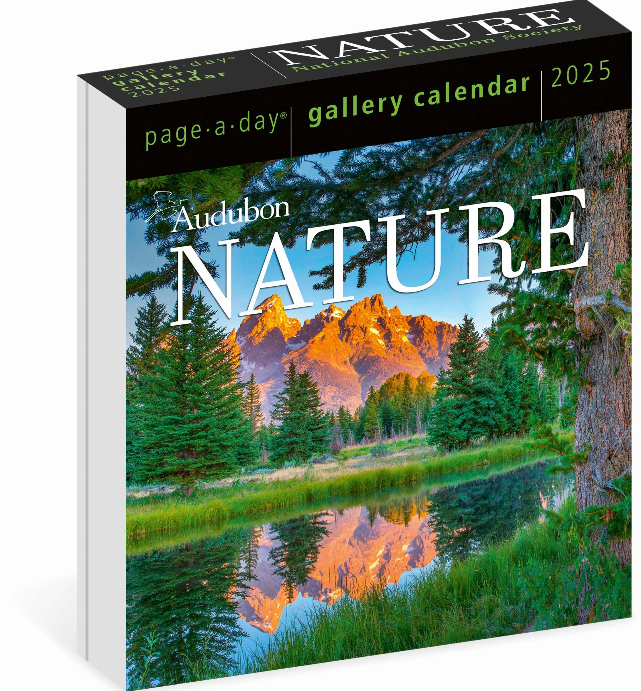 Audubon Nature Page-A-Day Gallery Calendar 2025