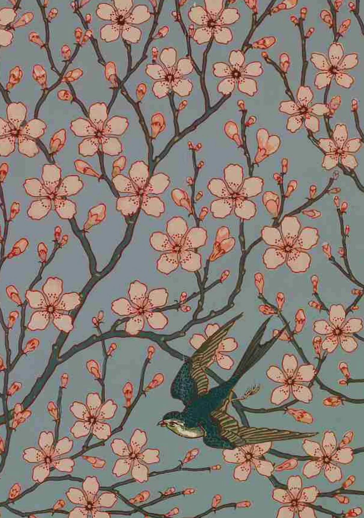 V&A Pattern: 100 Postcards /anglais
