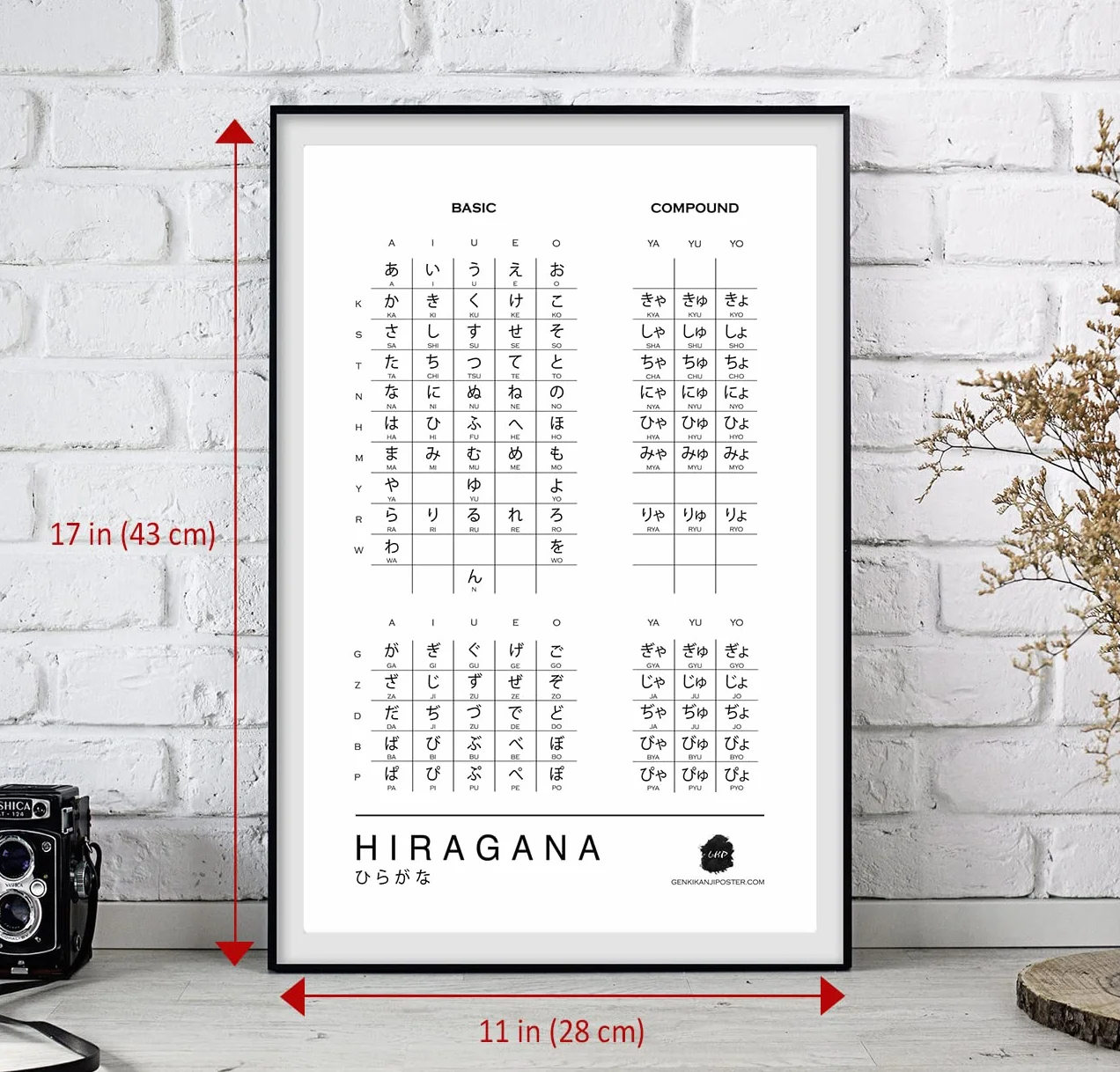 Genki Kanji Poster Wykresy hiragana i katakana do nauki języka japońskiego (28 x 43 cm laminowane wydruki, nieoprawione) (Hiragana + Katakana Combo Pack)