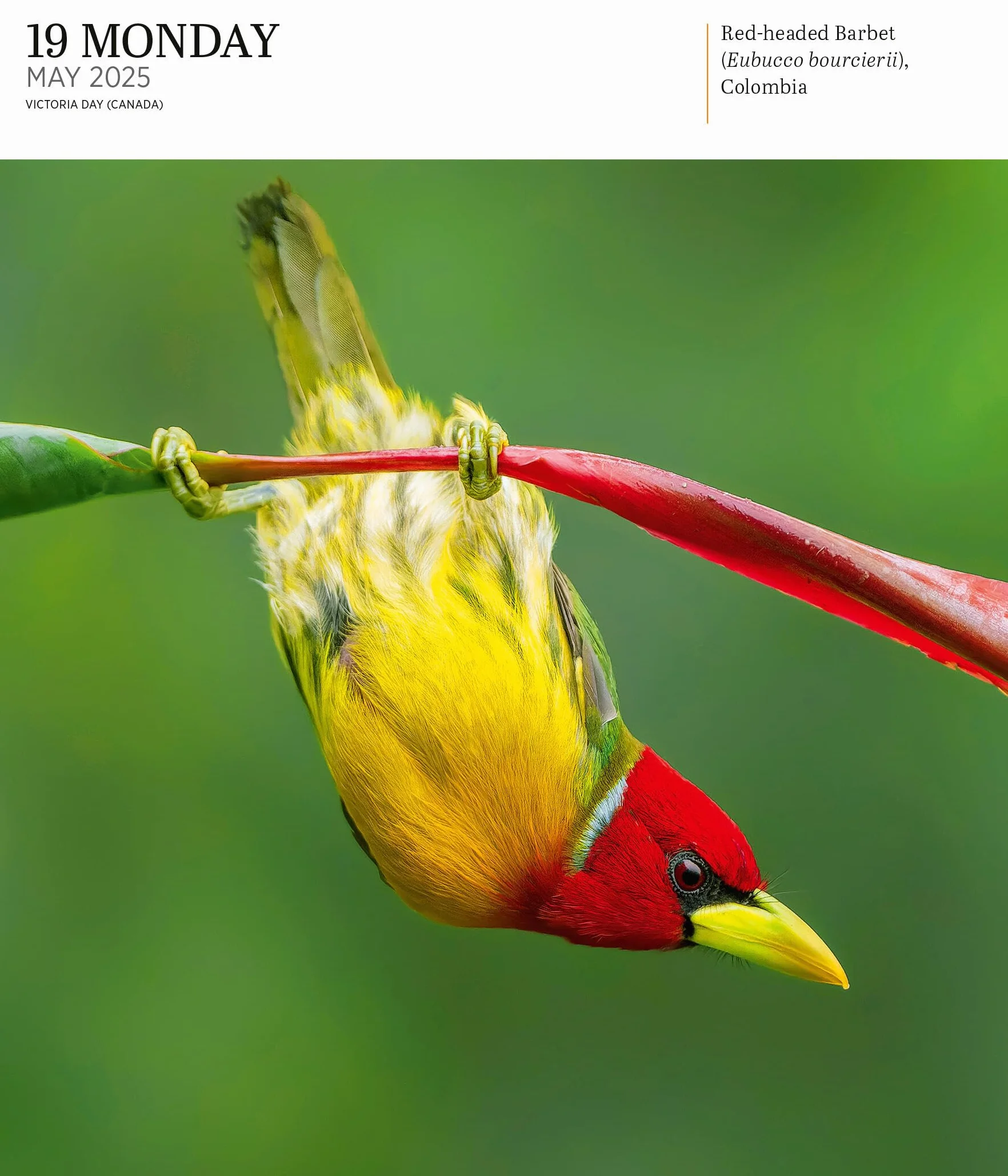 Audubon Nature Page-A-Day Gallery Calendar 2025