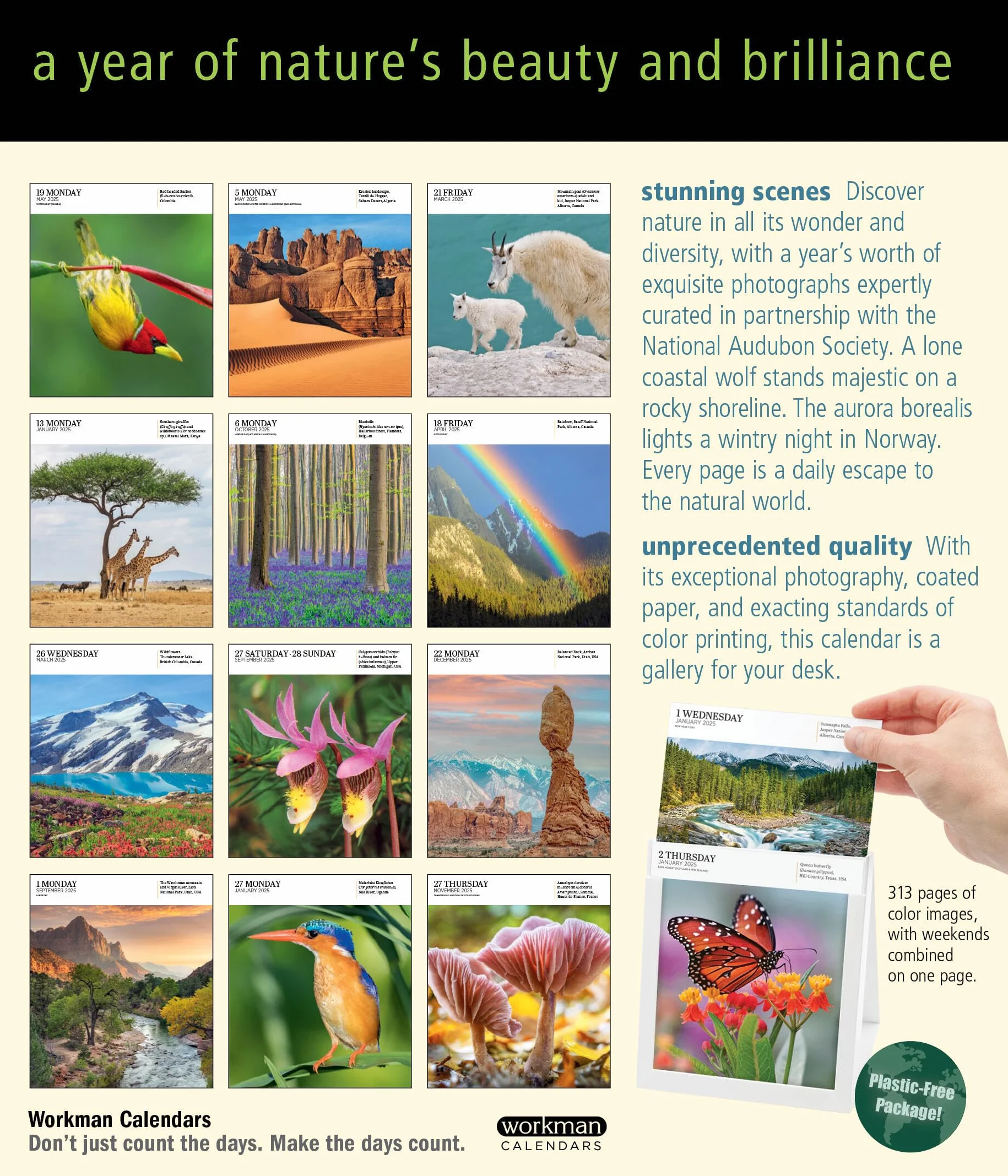 Audubon Nature Page-A-Day Gallery Calendar 2025