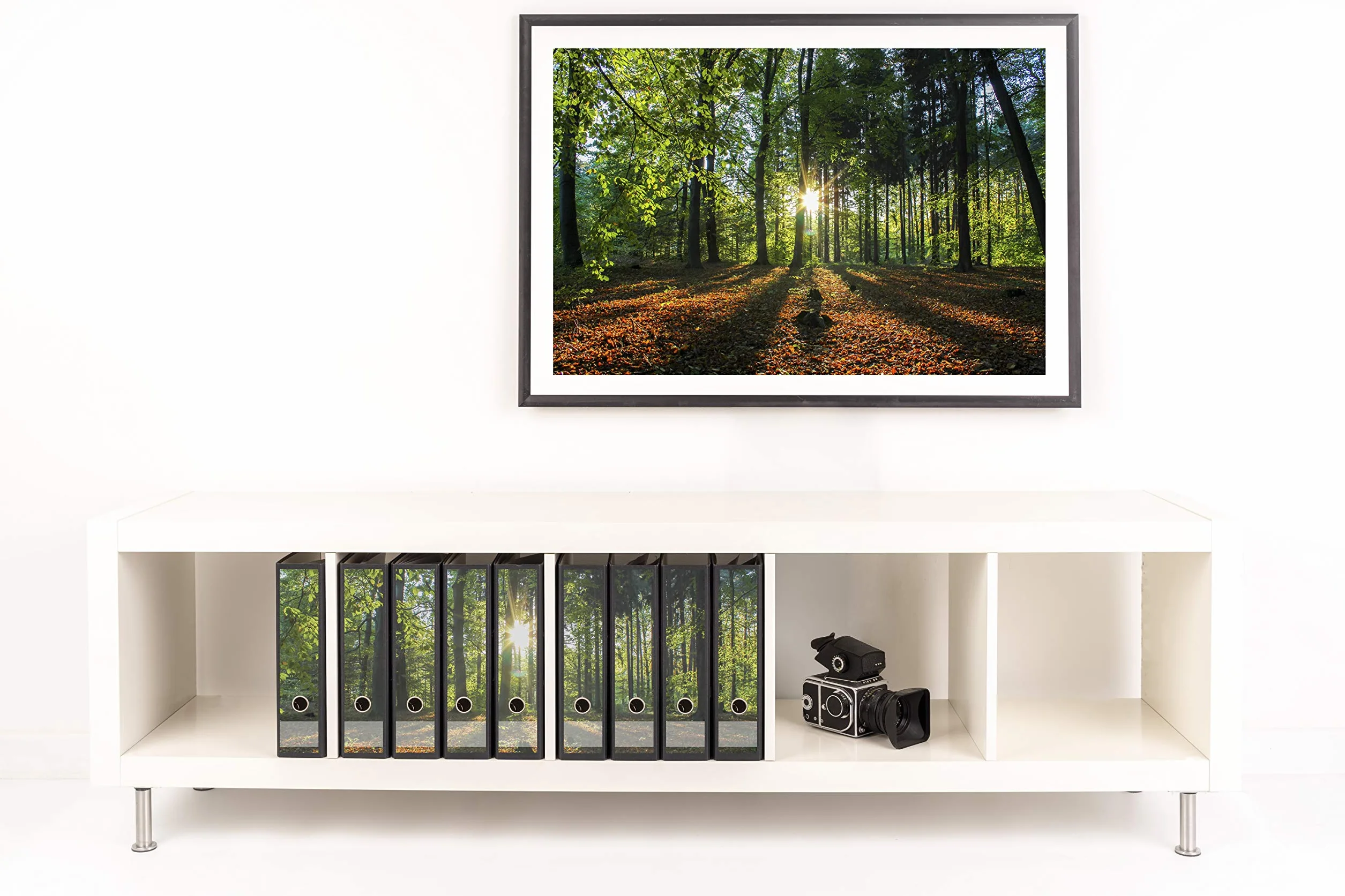 9 sztuk, szerokie etykiety samoprzylepne, DIN A4 (grzbiet segregatora, naklejki, etykiety samoprzylepne), słońce, leśna polana, natura, zachód słońca, do biura, miejsca pracy w domu