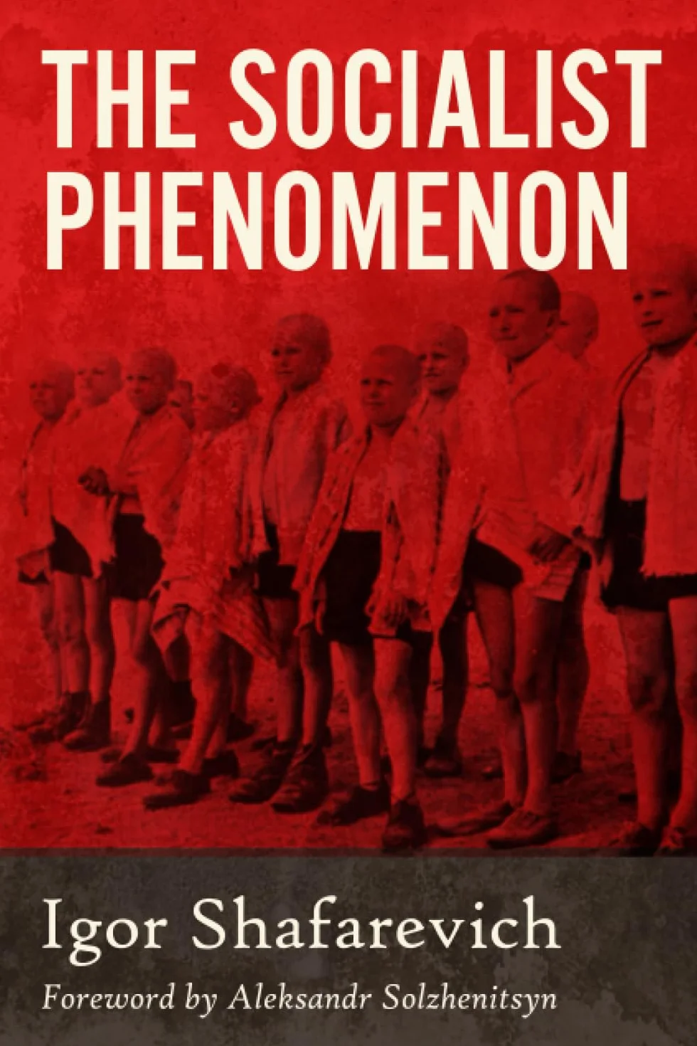 The Socialist Phenomenon