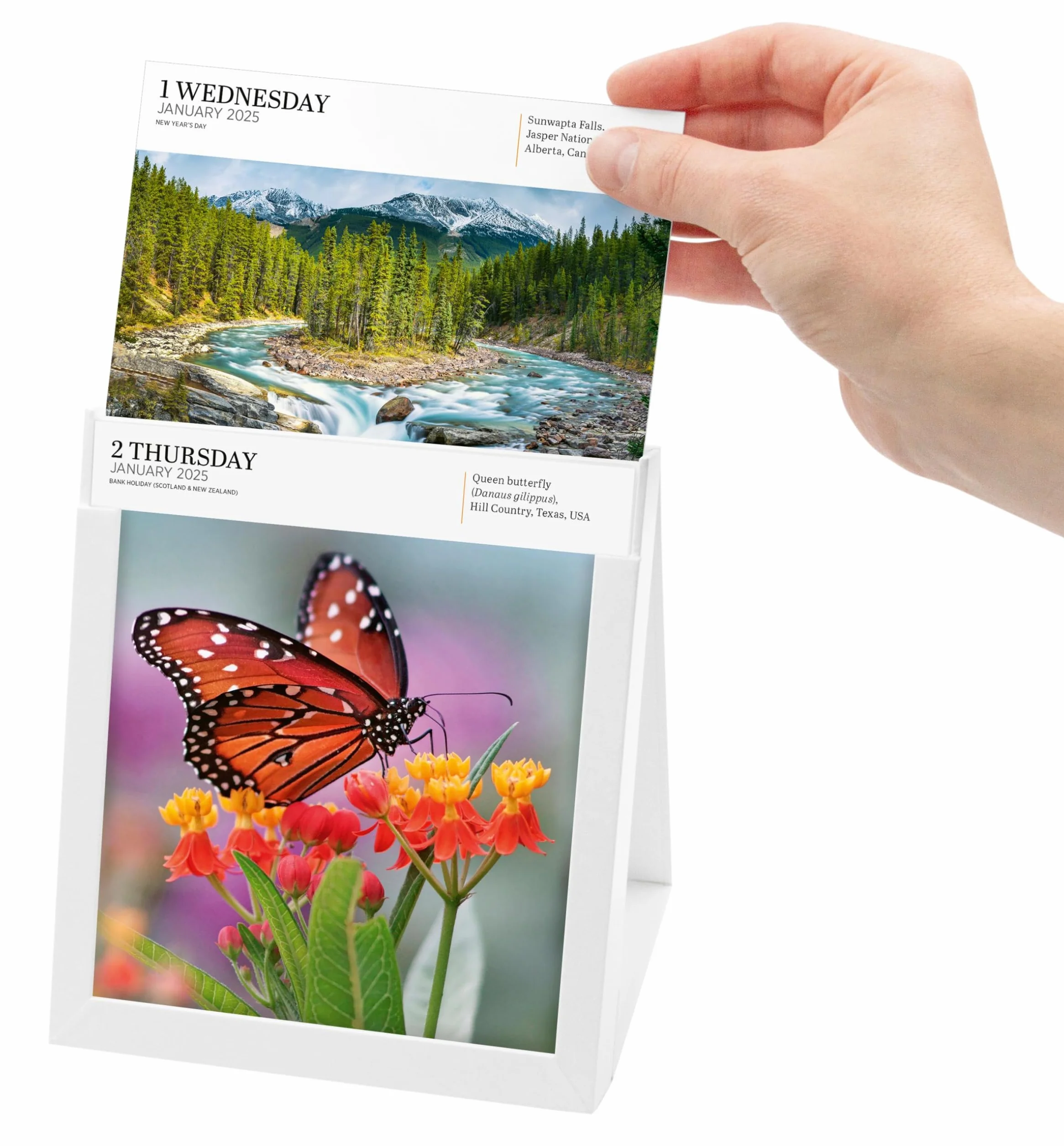 Audubon Nature Page-A-Day Gallery Calendar 2025