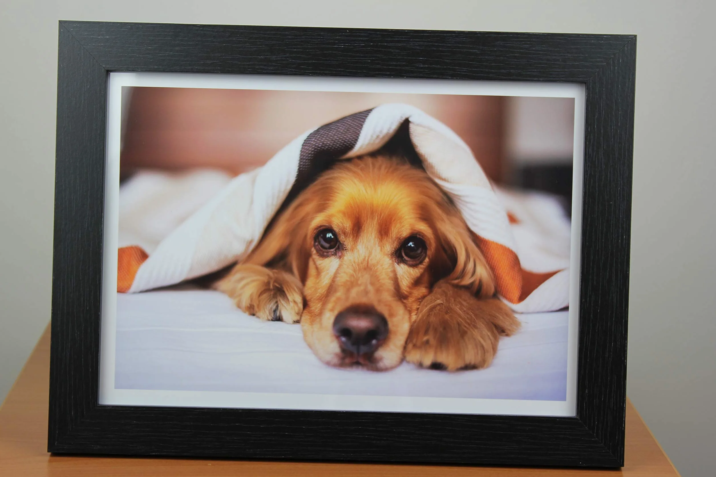 PPD A4 100 Arkuszy 260g Błyszczący Papier Fotograficzny