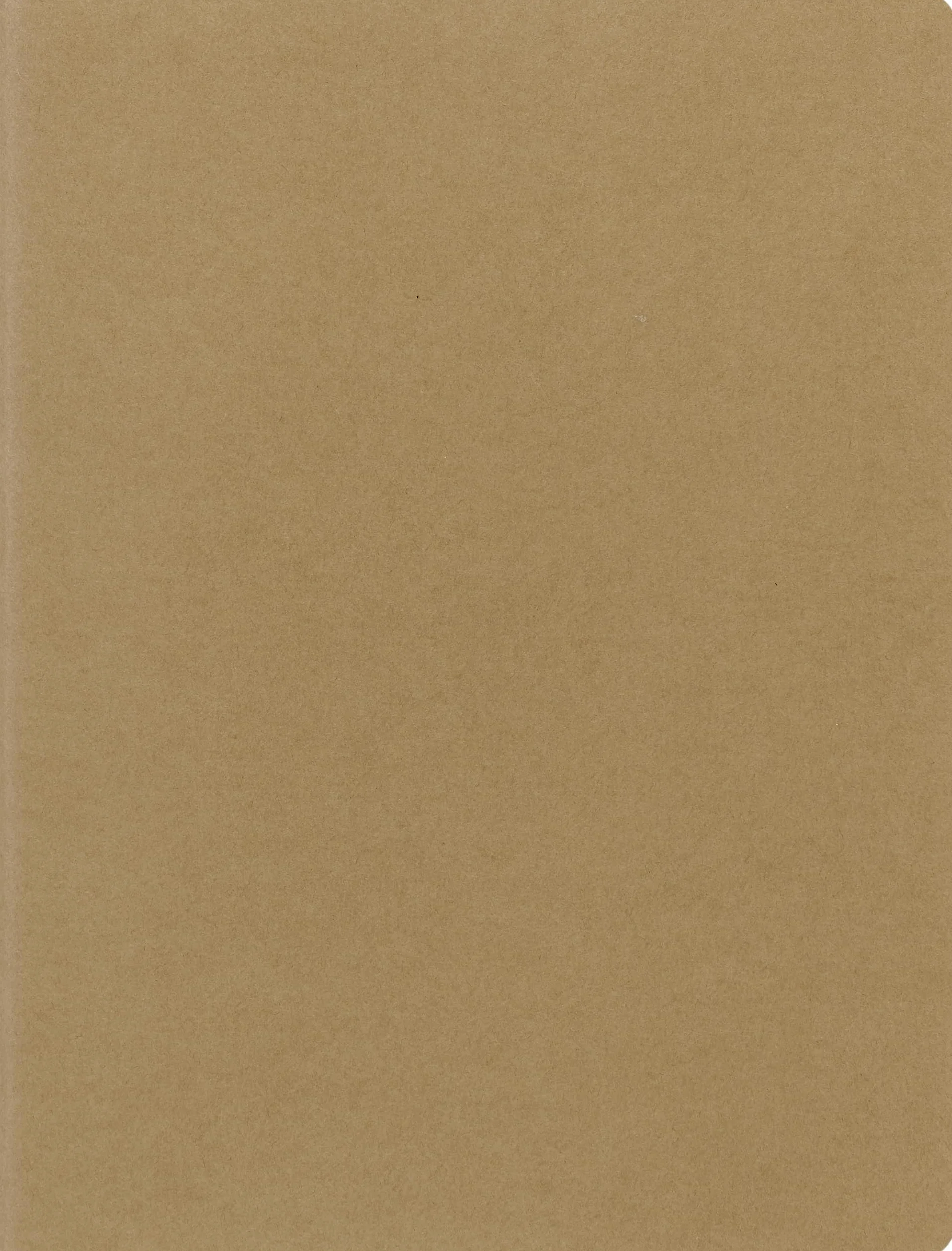 Moleskine Cahier Extra Large blanko packpapierbraun. 3er Pack