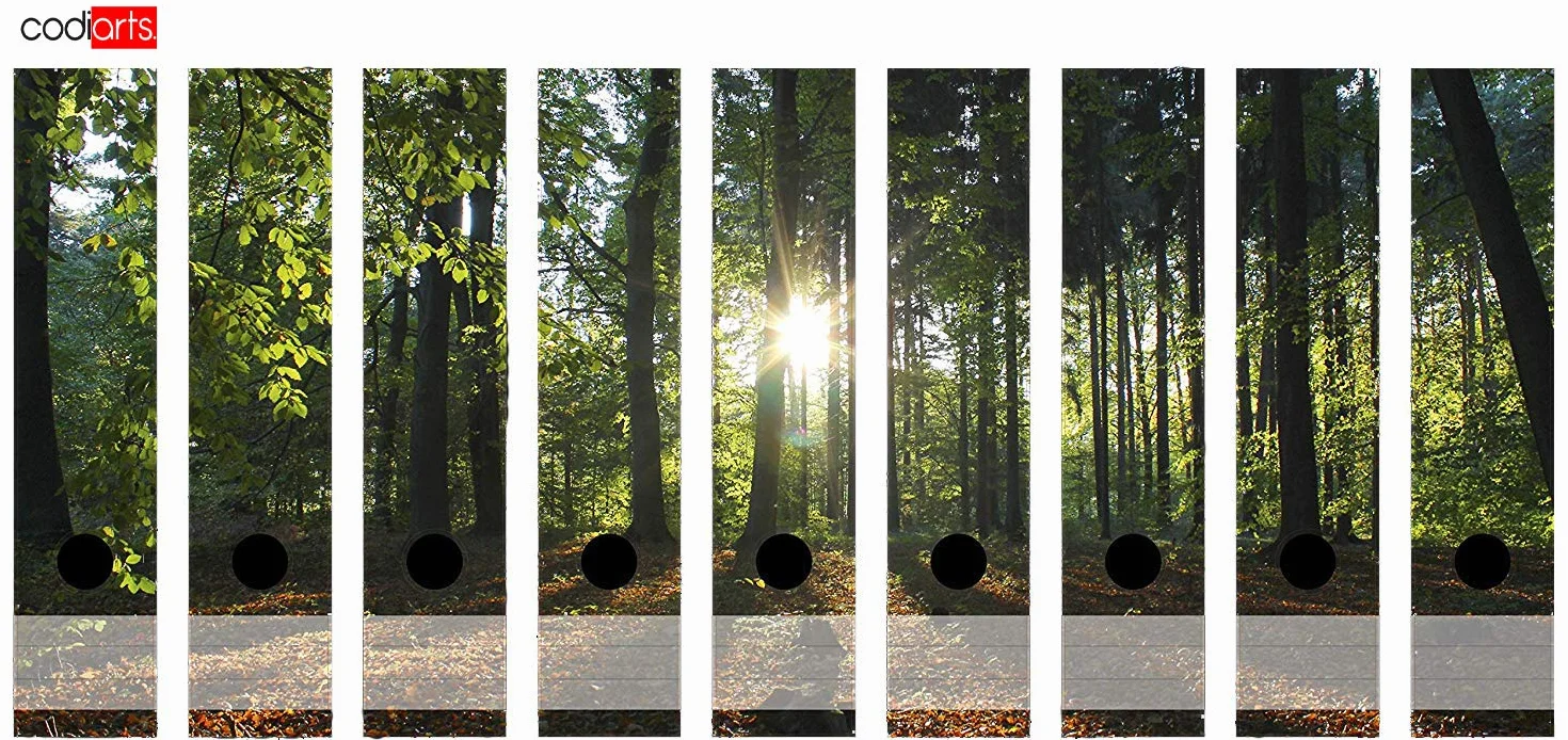 9 sztuk, szerokie etykiety samoprzylepne, DIN A4 (grzbiet segregatora, naklejki, etykiety samoprzylepne), słońce, leśna polana, natura, zachód słońca, do biura, miejsca pracy w domu