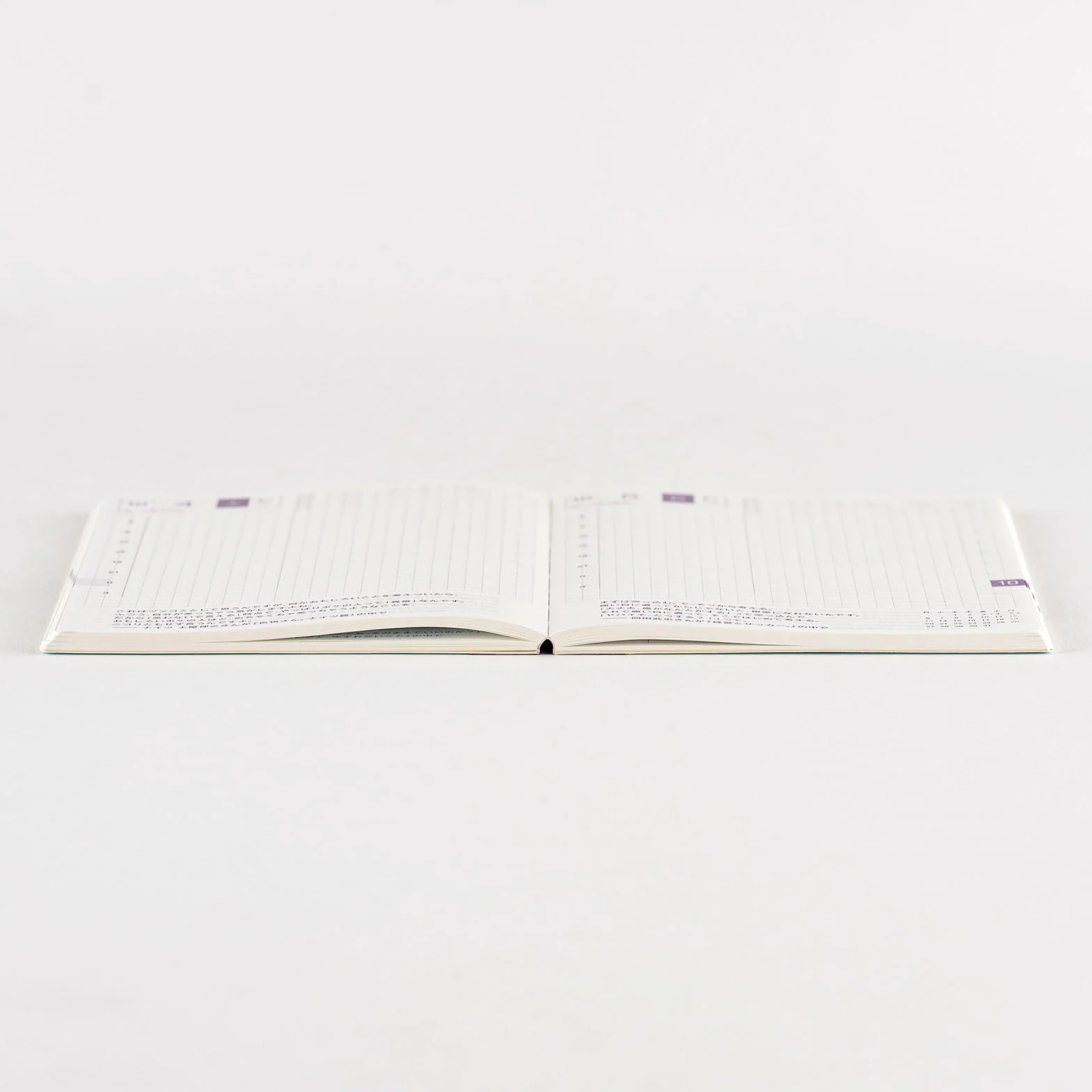 Hobonichi Techo 2025 japońska oryginalna książka Avec [rozmiar A6/dziennik miesięczny/książka na 6 miesięcy/1 lipca - 31 grudnia / początek poniedziałku]