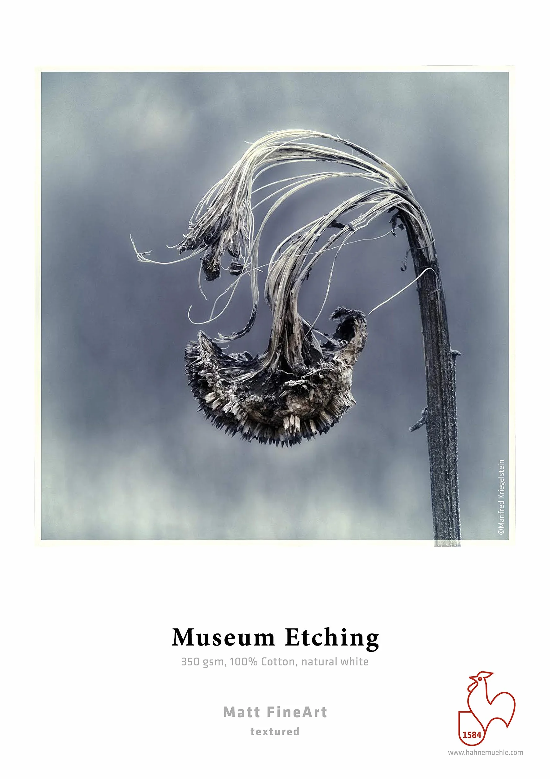 Hahnemühle 10640771 Digital FineArt Museum Etching Photo Cards, 10 x 15, 100 x 150 mm