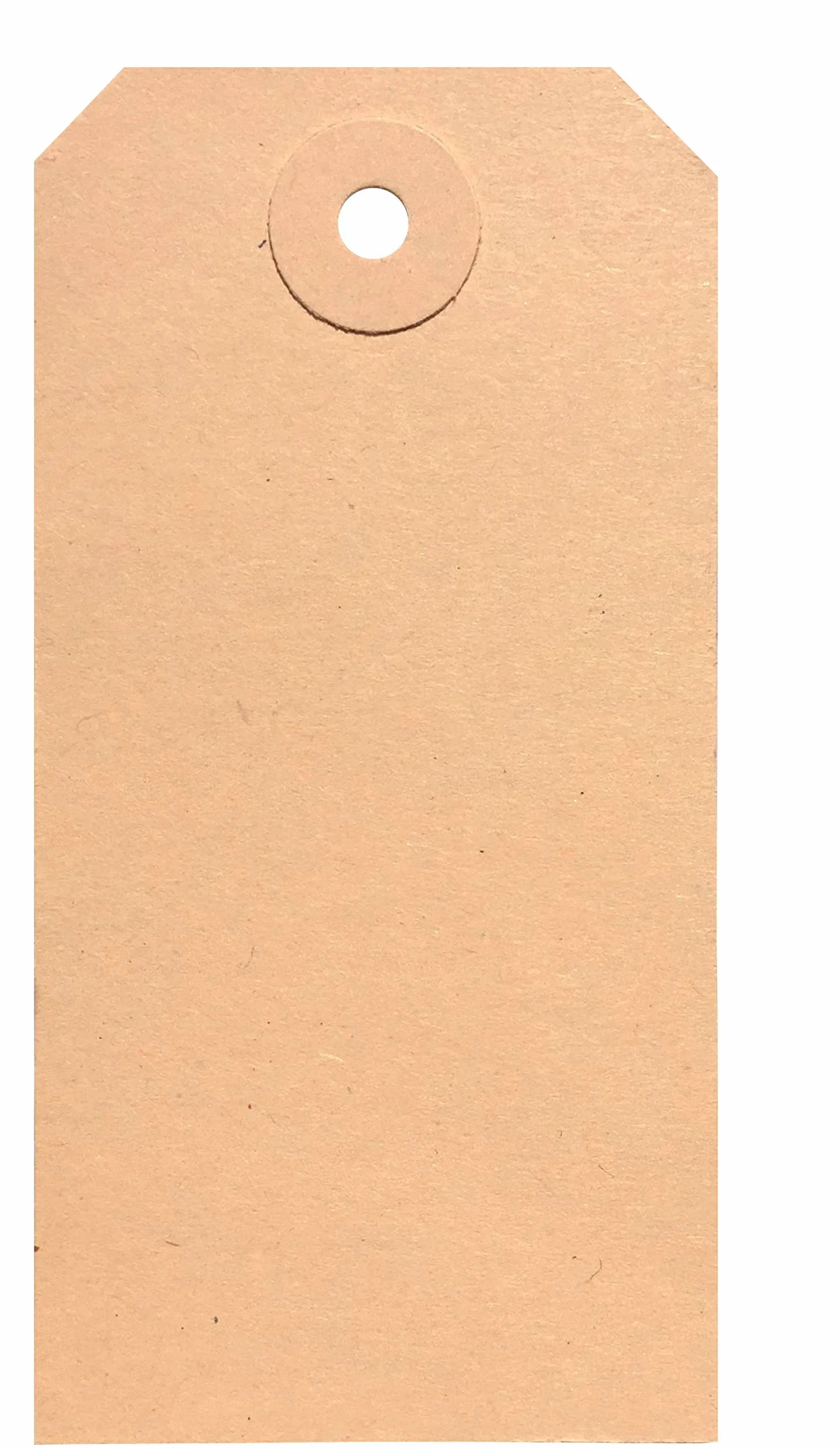 1000 tabliczek do zawieszania, 60 x 120 mm, z otworem (zawieszka)