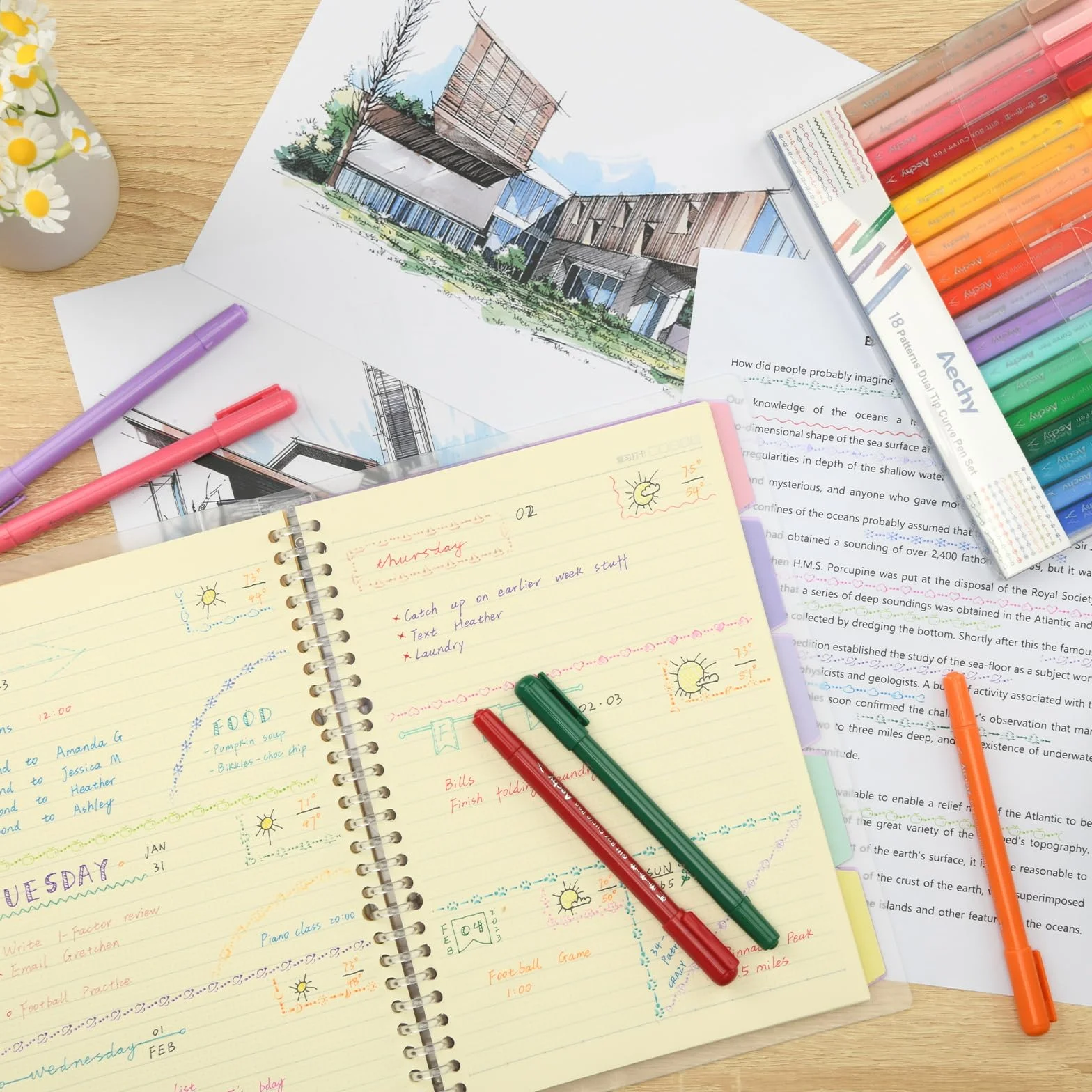AECHY 18 Color Curve Pen do robienia notatek, dwugłowicowy długopis z 18 różnymi kształtami krzywych i 18 kolorami cienkich linii, zestaw do prowadzenia pamiętnika i notatek