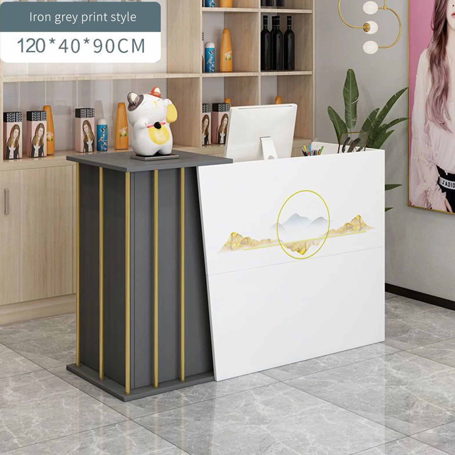 GAOXIAO Recepcja Piękna recepcja z 2 szufladami i szafkami, piękna lada sklepowa, lada sklepowa do domu, handlu detalicznego, biura, recepcje hotelowe salonu, biała C 120 cm