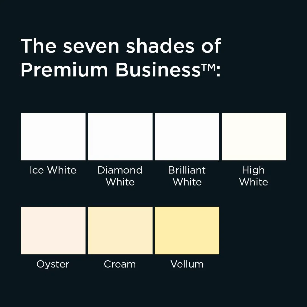 Blake Premium Business 162 X 229 Mm 120 gsm Portfel Odrywane I Zamykane 39455 High White Laid Pakiet 500