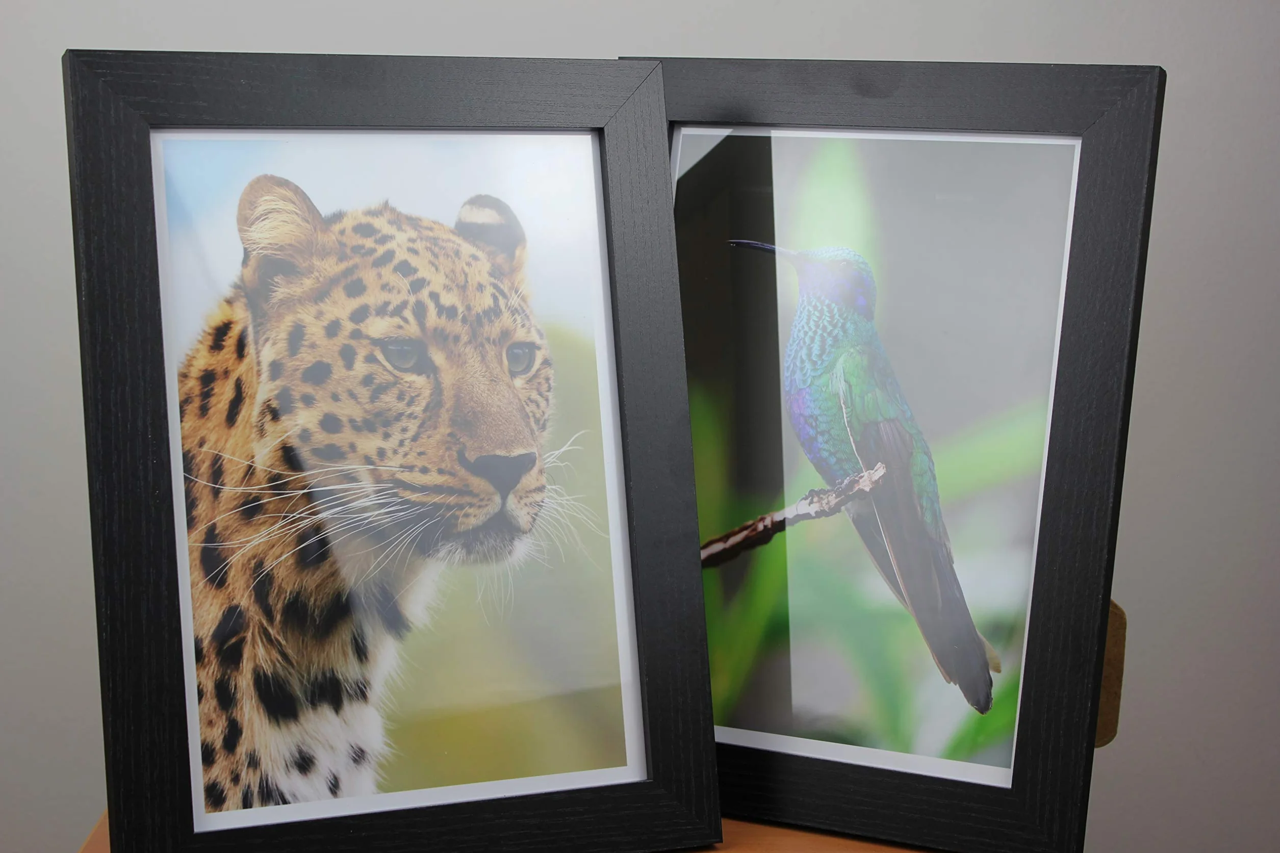 PPD A4 100 Arkuszy 260g Błyszczący Papier Fotograficzny