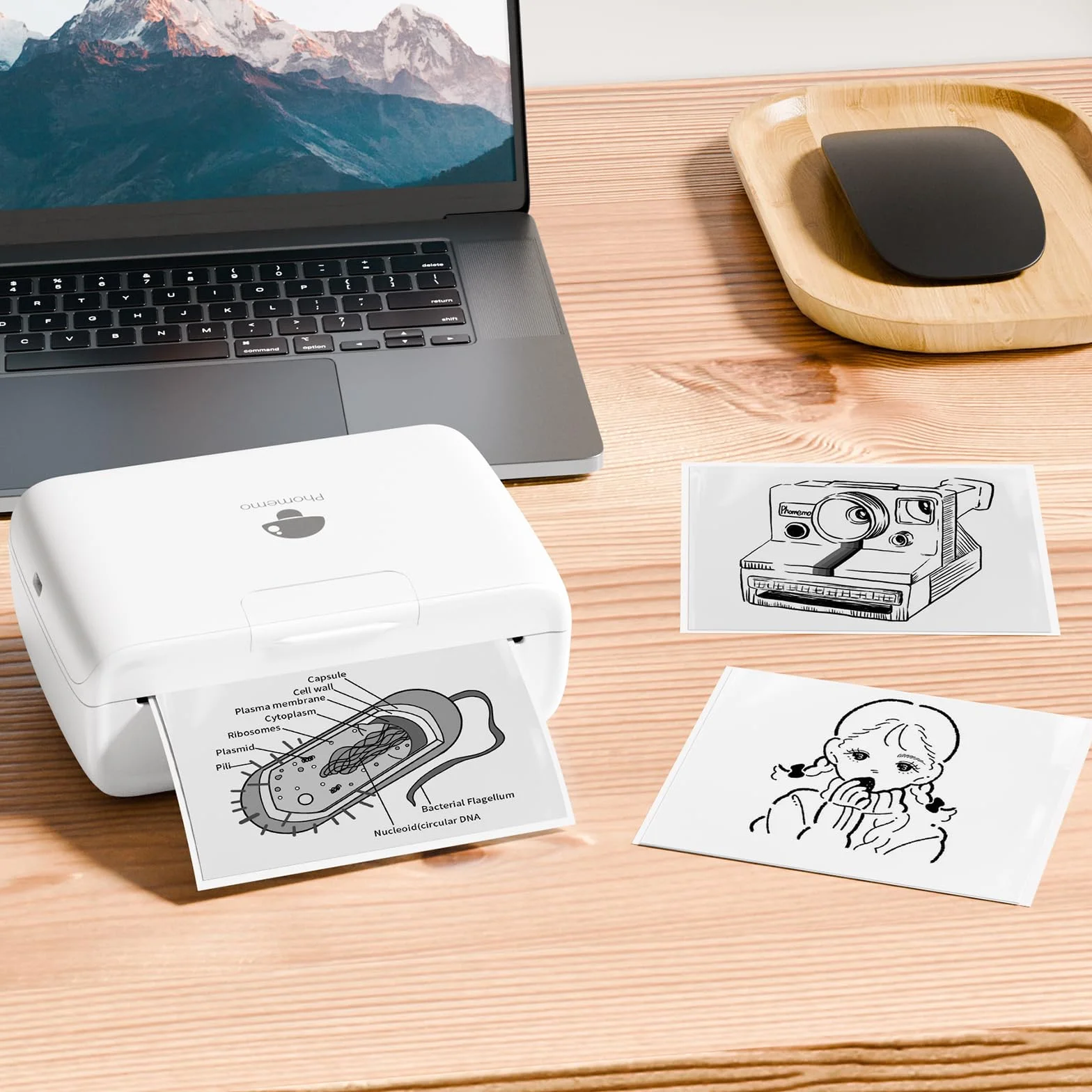 Phomemo M03/M03AS/M04S/M04AS 80mm Drukarka papierowa, 3 rolki samoprzylepnego papieru samoprzylepnego, czarny na białym do przenośnej drukarki Phomemo M03/M03AS/M04S/M04AS 80mm x 3,5m, 10 lat