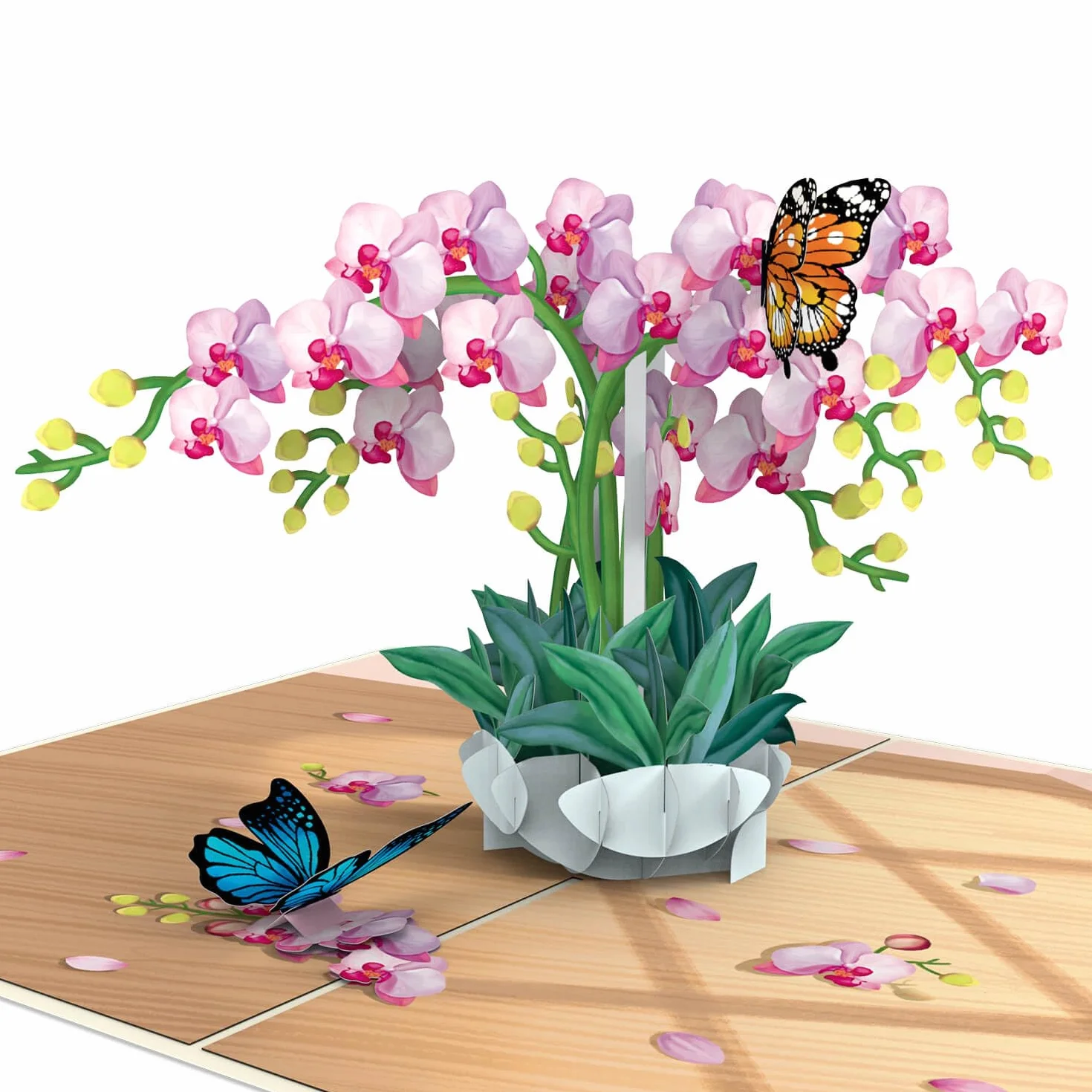 papercrush Kartka pop-up, storczyki z motylem, elegancka kartka urodzinowa 3D z kwiatami i motylami dla kobiet, specjalna kartka z życzeniami na urodziny i rocznicę, kartka powrotu do zdrowia