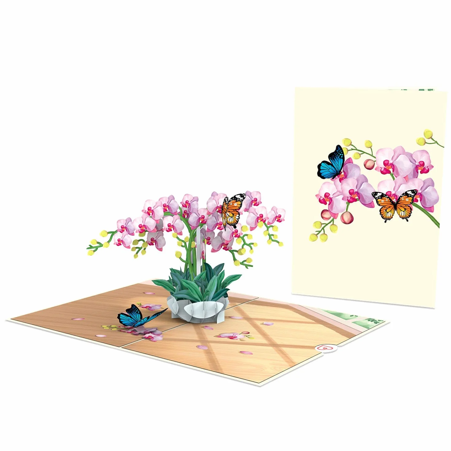 papercrush Kartka pop-up, storczyki z motylem, elegancka kartka urodzinowa 3D z kwiatami i motylami dla kobiet, specjalna kartka z życzeniami na urodziny i rocznicę, kartka powrotu do zdrowia