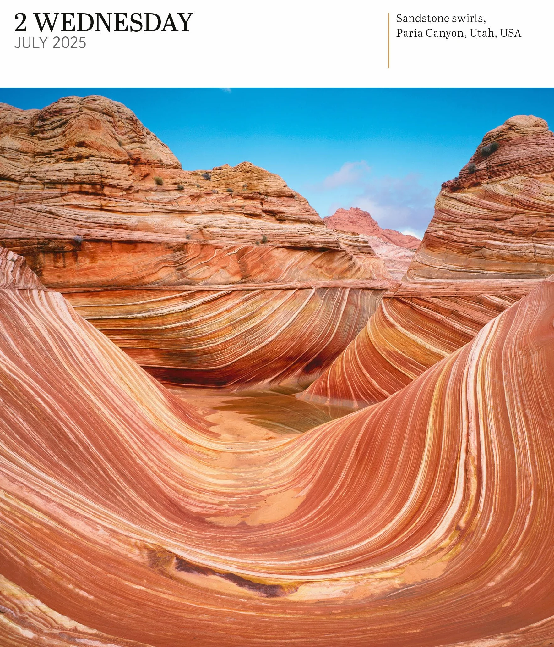 Audubon Nature Page-A-Day Gallery Calendar 2025